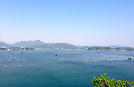 충청남도 최고의 외식업들 소개