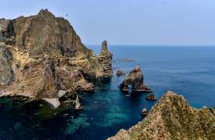 강원특별자치도 최고의 외식업들 안내