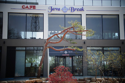 자바브레이크