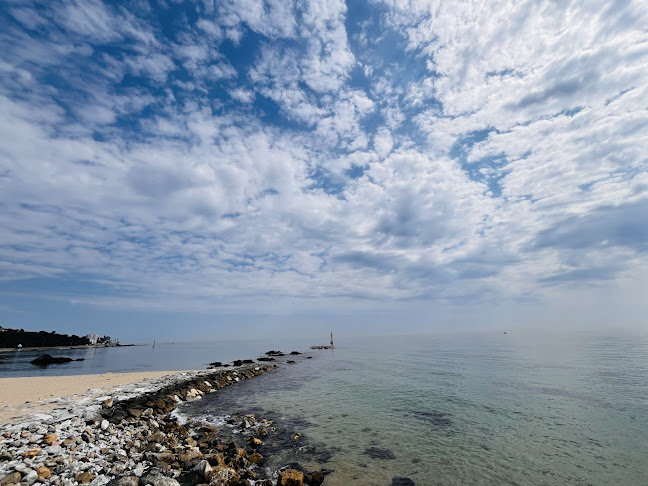 커피콩 - 삼척시