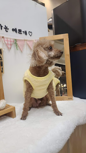 Comentarii opinii despre 멍스데이