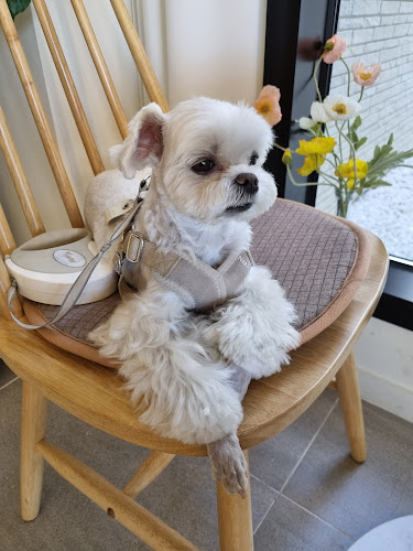 경상북도 포항시 북구 양학동 62-1