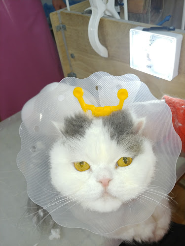 울산광역시 남구 옥동 587-1