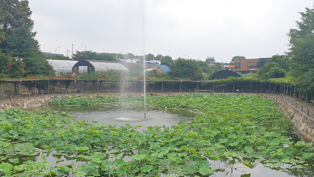 경기도 고양시 일산동구 풍동 611