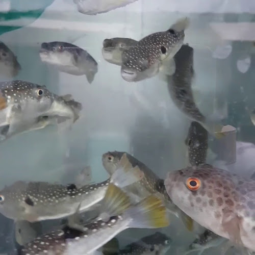 부일식당 - 통영시