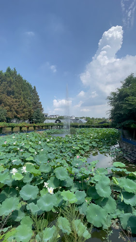 Opinii despre 뒤뜰 în 고양시 - 외식업