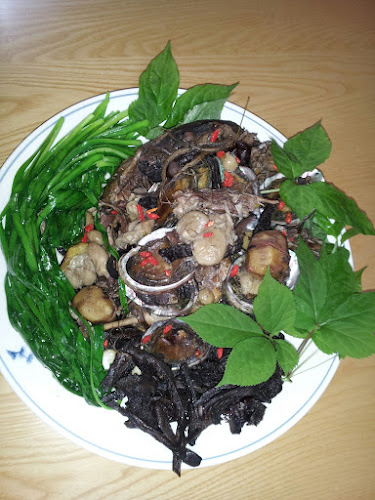 태백약초백숙 - 외식업