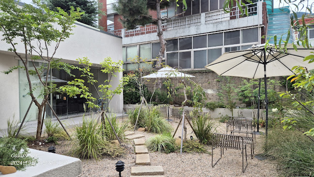 Comentarii opinii despre 플란트