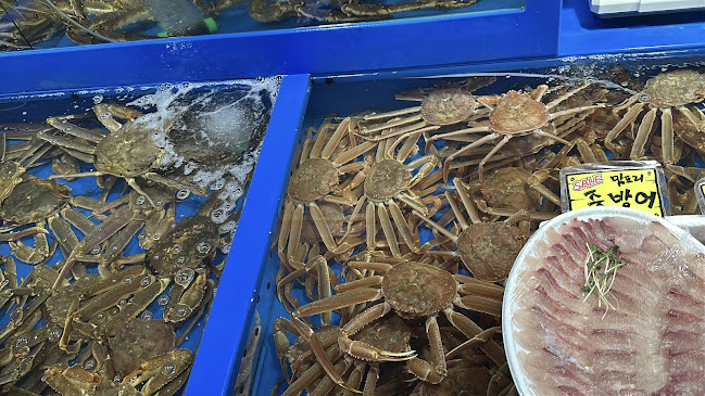 포항죽도시장 - 외식업