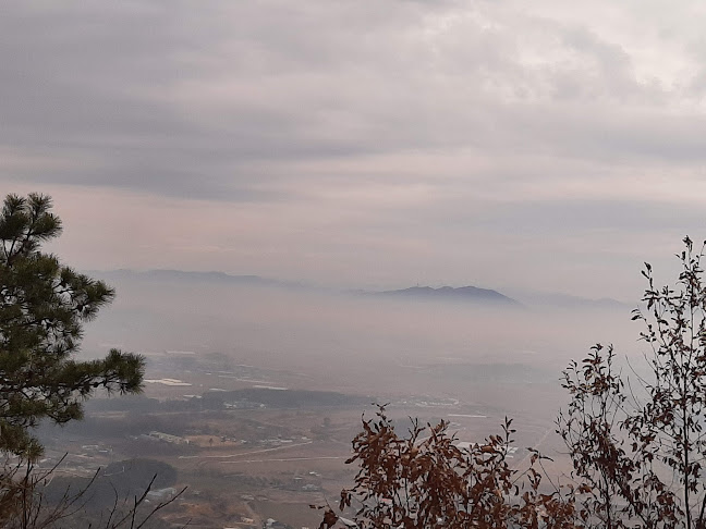 Opinii despre 호프1번지 în 익산시 - 외식업