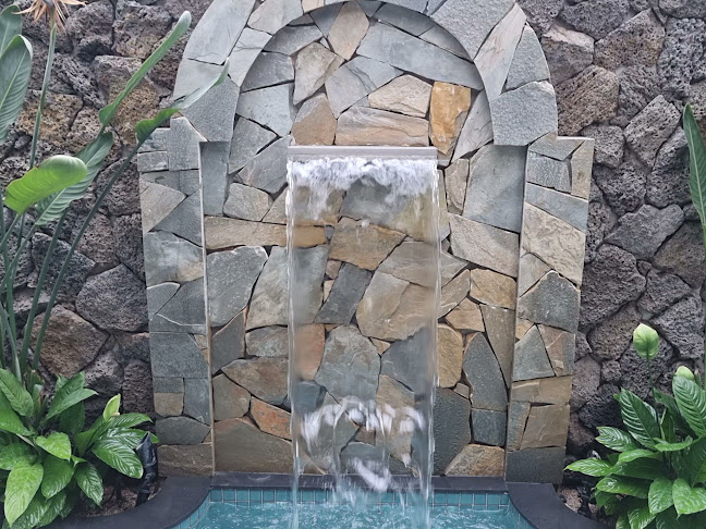 벤자마스(Venzamas) - 외식업