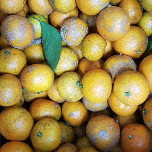 Comentarii opinii despre 콩카페