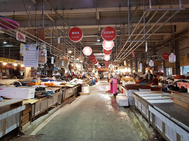 경상북도 포항시 북구 죽도시장13길 13-1