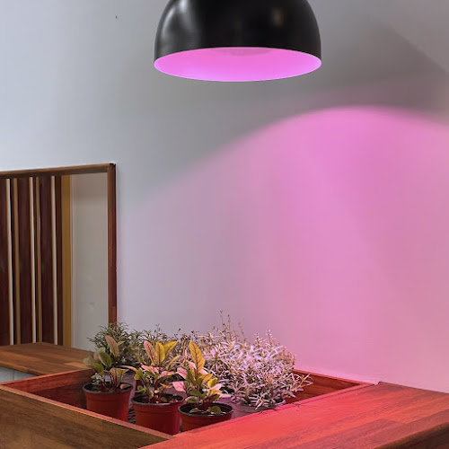 구스토 - 외식업