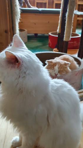 경기도 성남시 분당구 이매동 양현로94번길 7 KR 13568 대명프라자