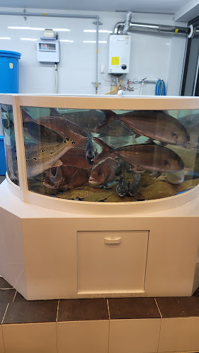 Opinii despre 등대회도매센타 în 창원시 - 외식업