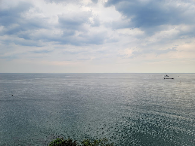 Comentarii opinii despre 평화주택커피