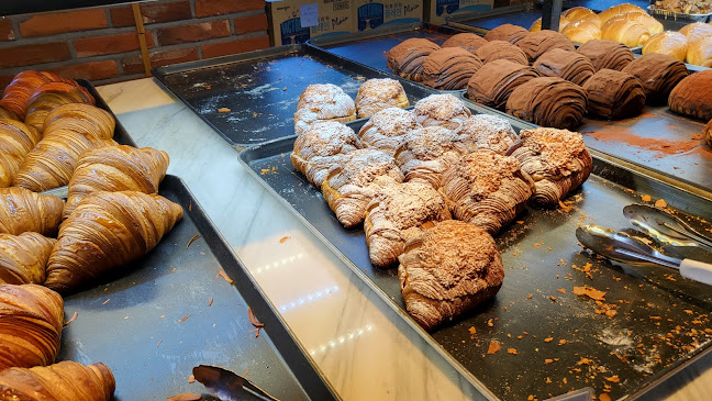 Comentarii opinii despre 포레스트 아웃팅스