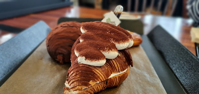 포레스트 아웃팅스