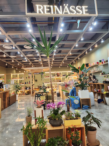 라이네쎄플라워카페광명점