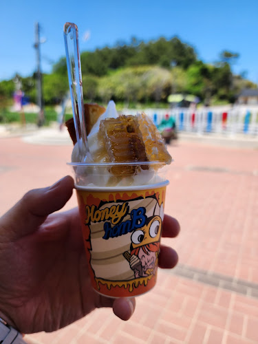 허니홈비 추암점 - 외식업