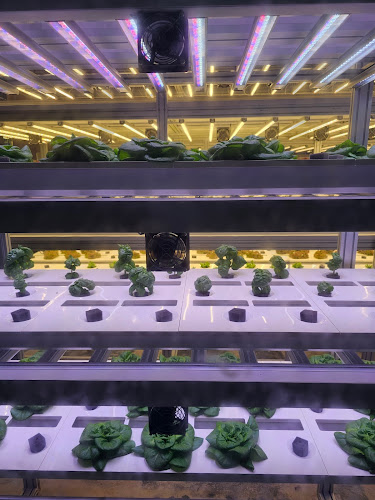 제주특별자치도 제주시 아란서길 110