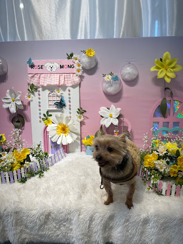 로제몽 - 외식업