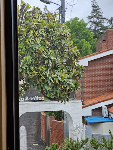 전라남도 목포시 대의동2가 1-80