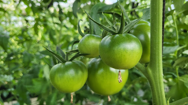 팜유팸 (미리벌팜) - 외식업