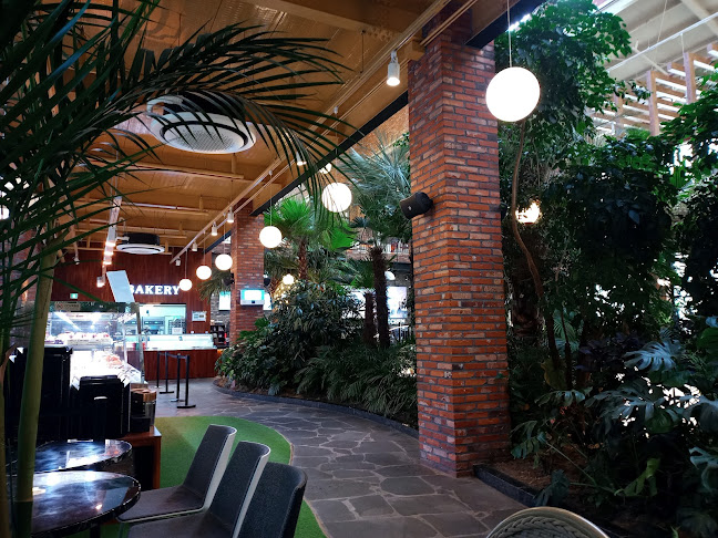 포레스트 아웃팅스