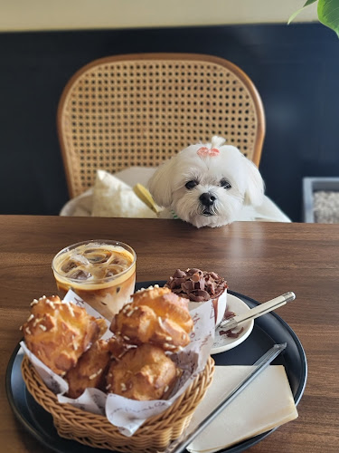 펌킨 오울 - 강릉시