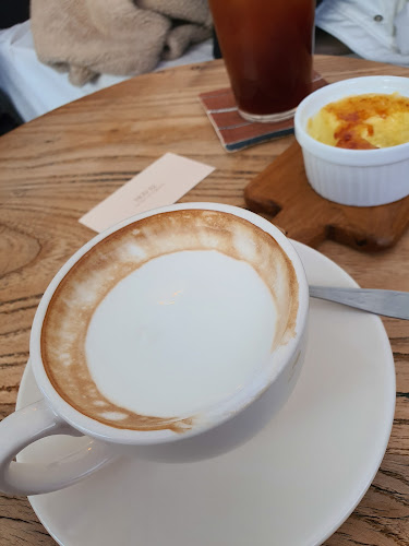 Comentarii opinii despre 노브일리