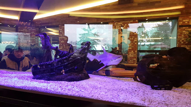 브레드 팩토리 망캄 율동점 - 외식업