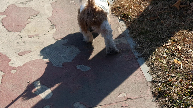 덕취원 - 외식업