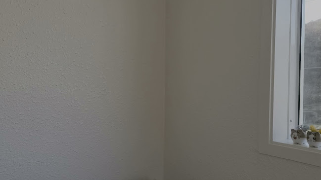 손커피연구소 오메기점