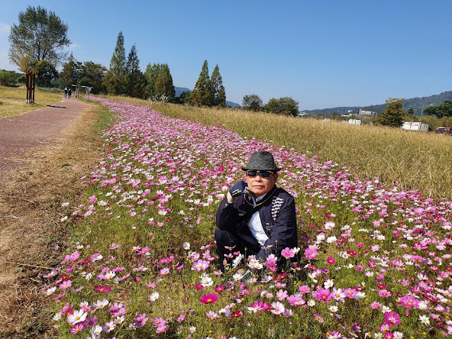 Opinii despre 공차 정읍상동점 în 정읍시 - 외식업