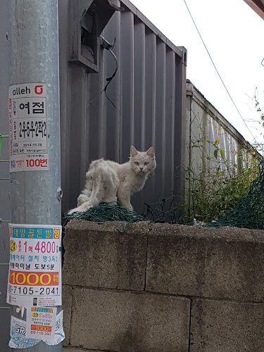 일번지실내포장마차 - 여주시