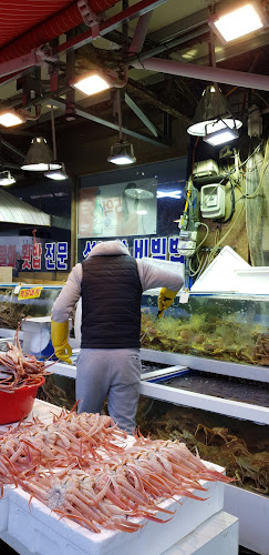 경상북도 포항시 북구 죽도시장13길 13-1