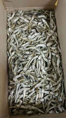 통영멸치 통영류가멸치 - 통영시