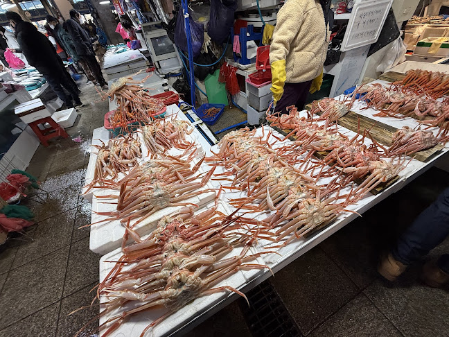 포항죽도시장 - 포항시