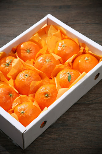 제주감귤마을영농조합법인