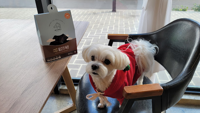 제주특별자치도 서귀포시 남원읍 한신로531번길 22-3