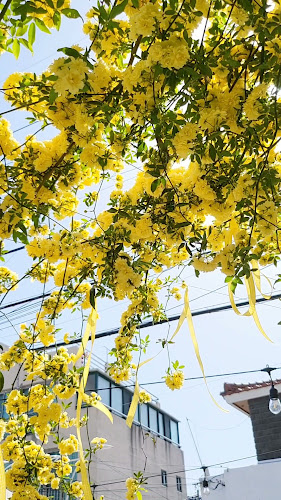 Comentarii opinii despre 미주크크