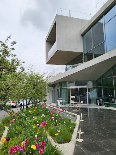 르디투어 광교 - 외식업