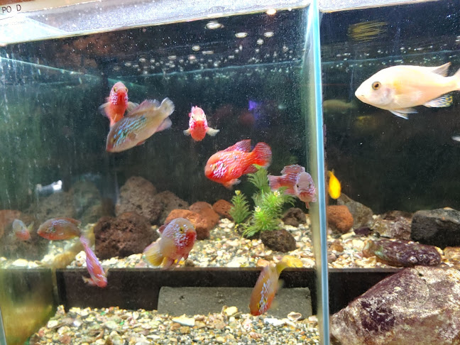 해물시장회센터