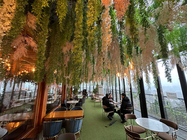 Comentarii opinii despre 베이커리궁