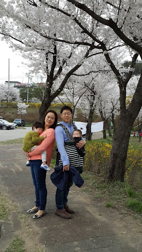 Comentarii opinii despre 소담돈가