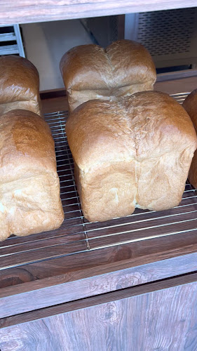 Comentarii opinii despre 지음당