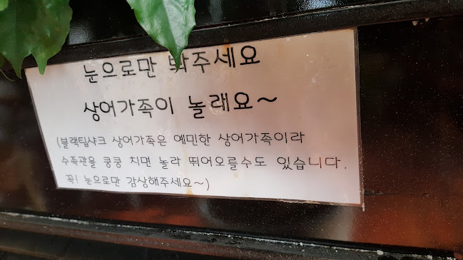 경기도 성남시 분당구 새마을로 107