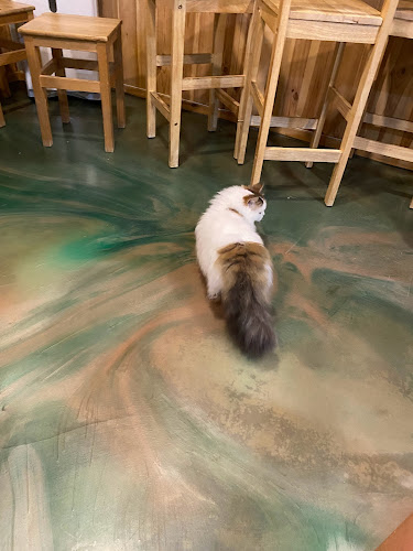 Comentarii opinii despre 코튼뱉